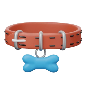 Dog Accessories